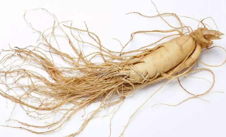 人参对身体有什么好处，吃多了有什么危害