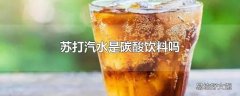 苏打汽水是碳酸饮料吗