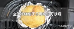 空气炸锅梨子不用锡纸可以吗