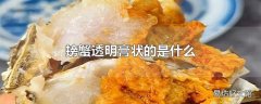 螃蟹透明膏状的是什么