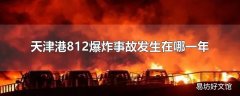 天津港812爆炸事故发生在哪一年