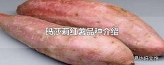 玛莎莉红薯品种介绍