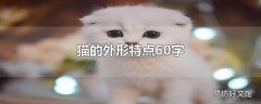 猫的外形特点60字