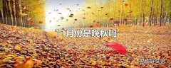 11月份是晚秋吗