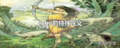 echo的特殊含义