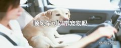 顺风车可以带宠物吗