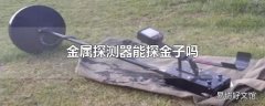 金属探测器能探金子吗