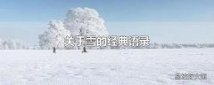 关于雪的经典语录