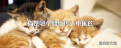 猫是哪个朝代传入中国的