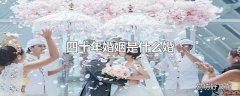 四十年婚姻是什么婚