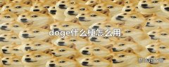 doge什么梗怎么用