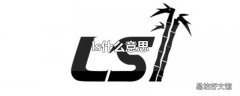 ls什么意思