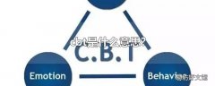 cbt是什么意思?