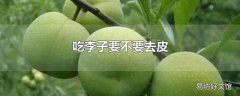 吃李子要不要去皮