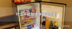 什么不能放进冰箱冷冻室