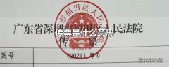 传票是什么意思