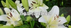 百合花可以放卧室吗