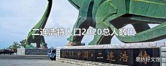 二连浩特人口2020总人数口