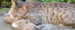 吃猫鼠存在吗