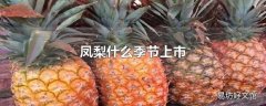 凤梨什么季节上市