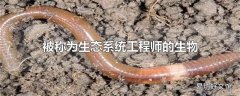 被称为生态系统工程师的生物