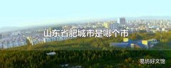 山东省肥城市是哪个市