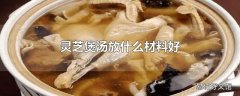 灵芝煲汤放什么材料好