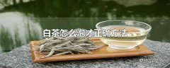 白茶怎么泡才正确方法