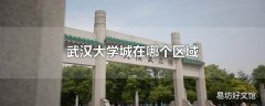 武汉大学城在哪个区域