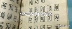 公文正文用什么字体