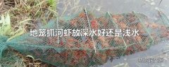 地笼抓河虾放深水好还是浅水