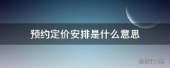 预约定价安排是什么意思