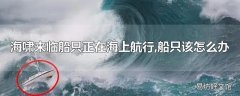 海啸来临船只正在海上航行,船只该怎么办