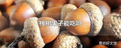 橡树果子能吃吗