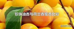 珍珠油杏与荷兰香蜜杏比较