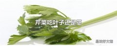 芹菜吃叶子还是茎