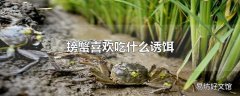 螃蟹喜欢吃什么诱饵