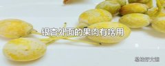 银杏外面的果肉有啥用