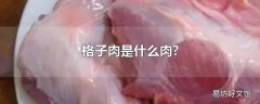 格子肉是什么肉?