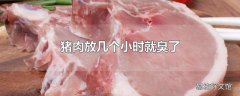 猪肉放几个小时就臭了