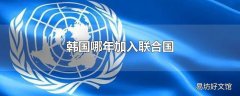 韩国哪年加入联合国