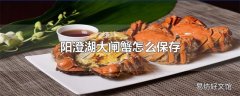 阳澄湖大闸蟹怎么保存