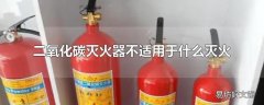 二氧化碳灭火器不适用于什么灭火