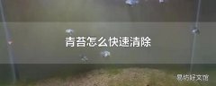 青苔怎么快速清除