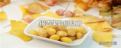 银杏果如何食用