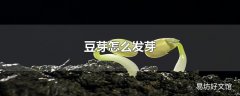 豆芽怎么发芽