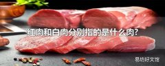 红肉和白肉分别指的是什么肉?