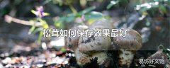 松茸如何保存效果最好