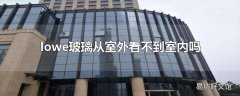 lowe玻璃从室外看不到室内吗