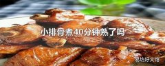 小排骨煮40分钟熟了吗